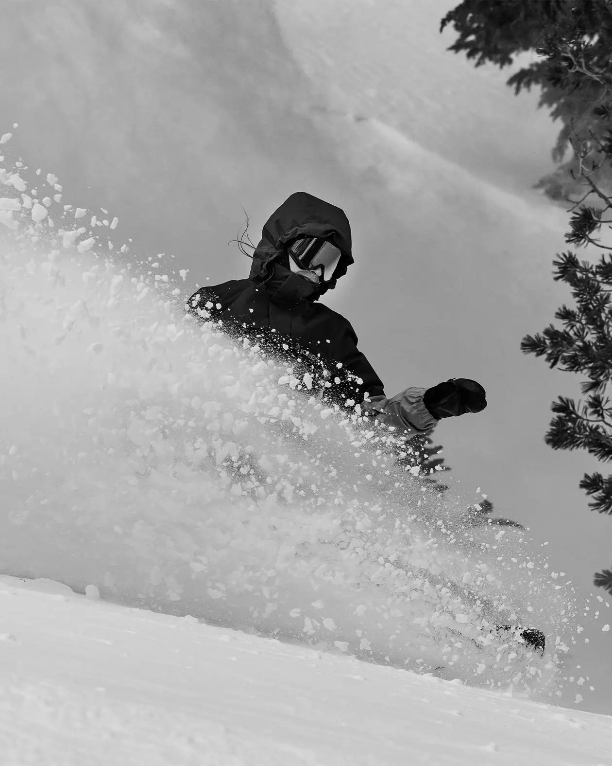 Women's Howler Snowboard | Jones Women's Howler Snowboard | Jones
